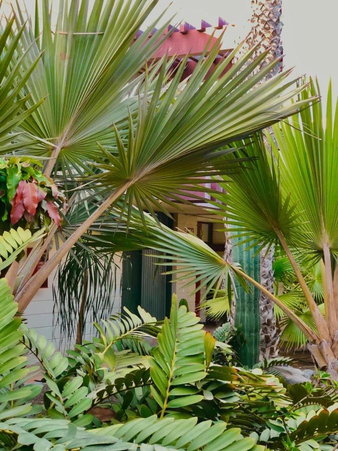 Apart.Relax Costa Del Silencio Exterior photo